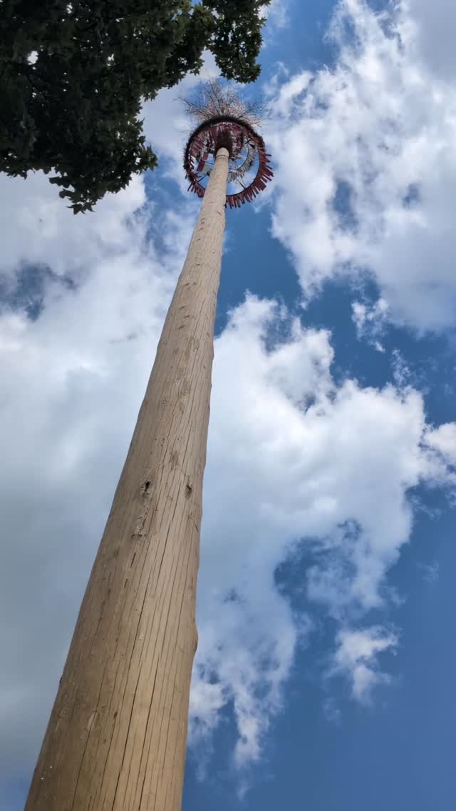 Maibaumfest 2026 😎💛

Ein sonniger & gemütlicher Pfingstmontag-Nachmittag am Ortsplatz, veranstaltet von der @mg_stpeter und den Vereinen @volkstanzgruppe_stpeter, @lj_stpeter_auberg & @feuerwehr_st.peter.

Danke an @katharina.reiter für die musikalische Leitung und natürlich an alle Gäste für euren zahlreichen Besuch - schön war's mit euch 🎶